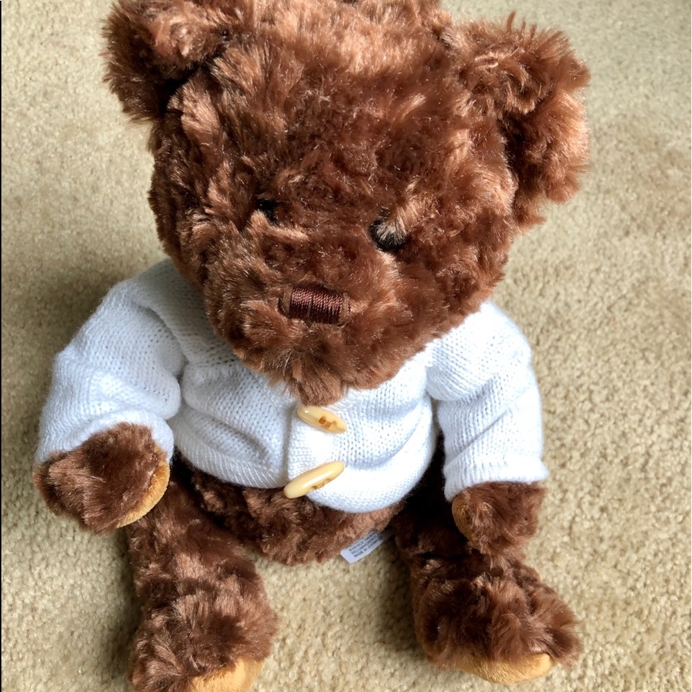 SALE $10 Stuffed Brown Bear With Sweater